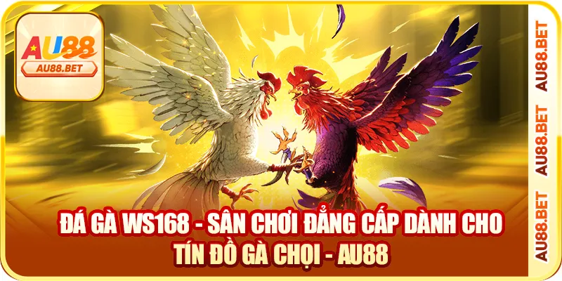 Đá Gà WS168 – Trải Nghiệm Đấu Trường Gà Nhanh, Thật, Đã